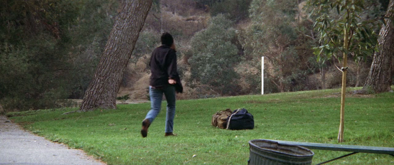 Rafferty and the Gold Dust Twins screenshot 1