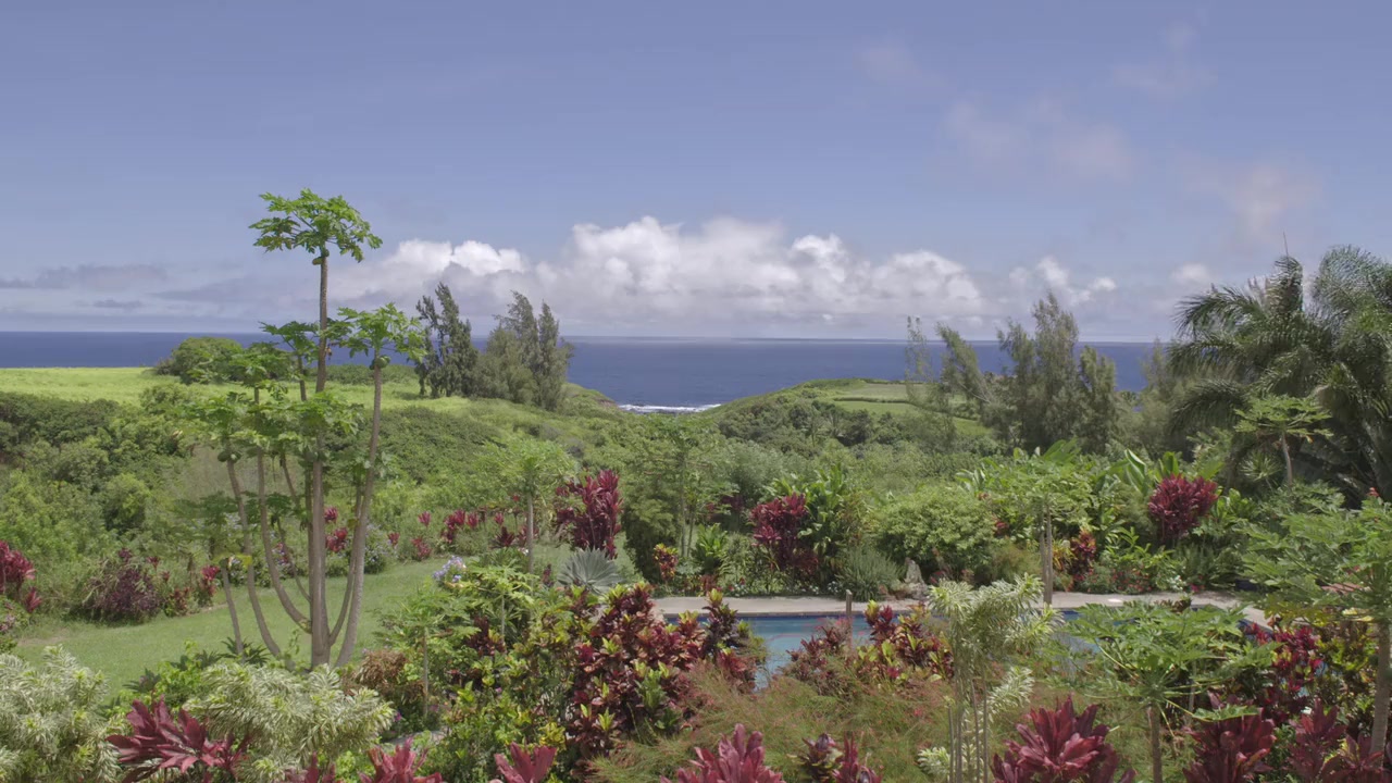 Ram Dass, Going Home screenshot 2