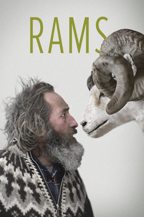 Hrútar (2015) poster