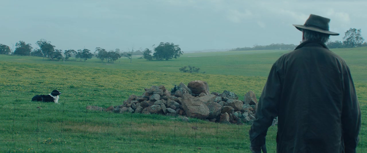 Rams screenshot 1