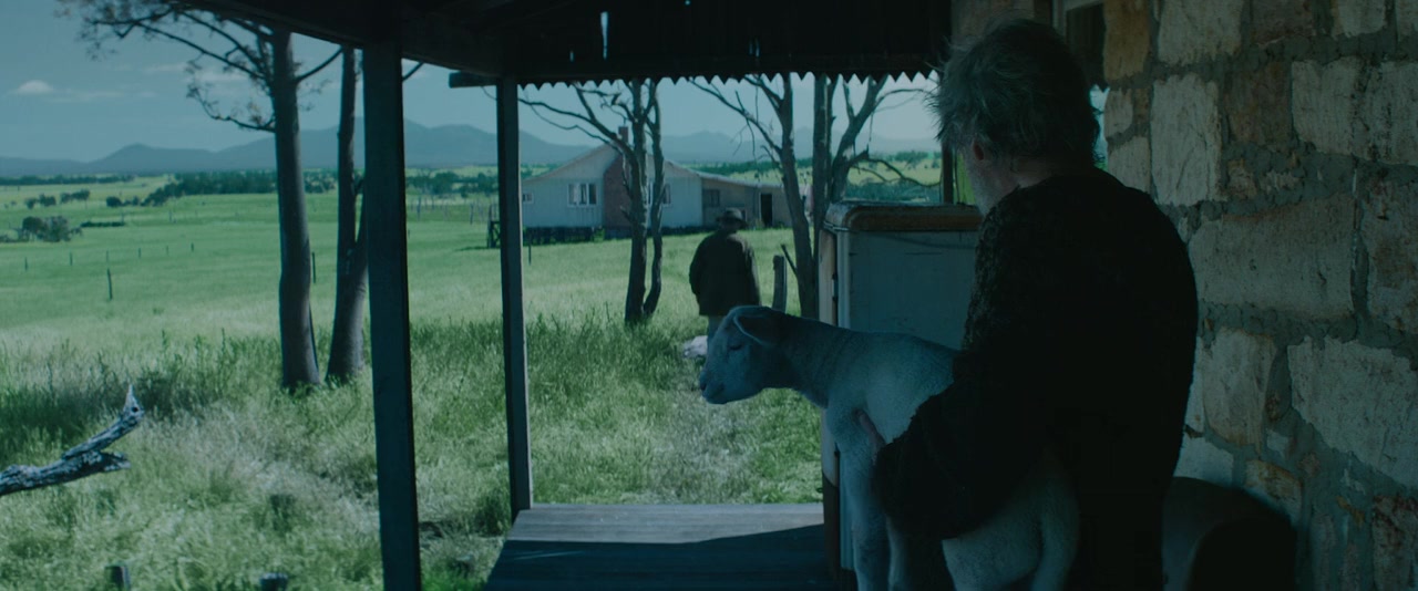 Rams screenshot 2
