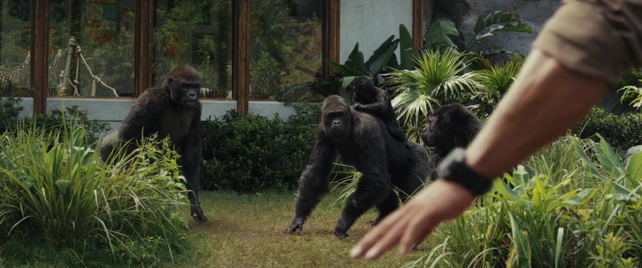 Rampage screenshot 1