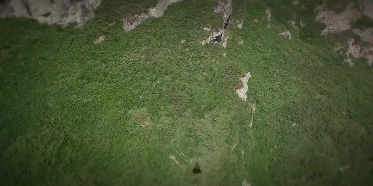 Ranveer vs. Wild with Bear Grylls screenshot 3