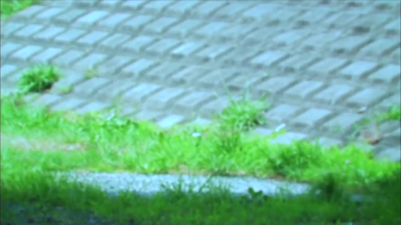 Reipu zonbi: Lust of the dead - kurôn miko taisen screenshot 1