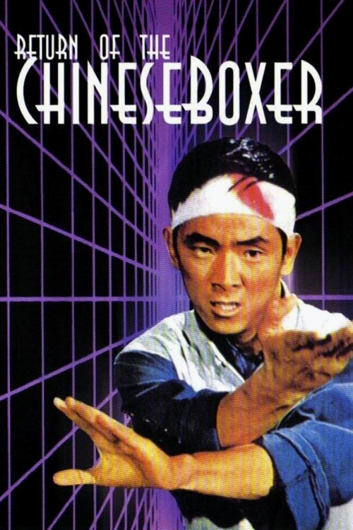 Shen quan da zhan kuai qiang shou (1977) poster