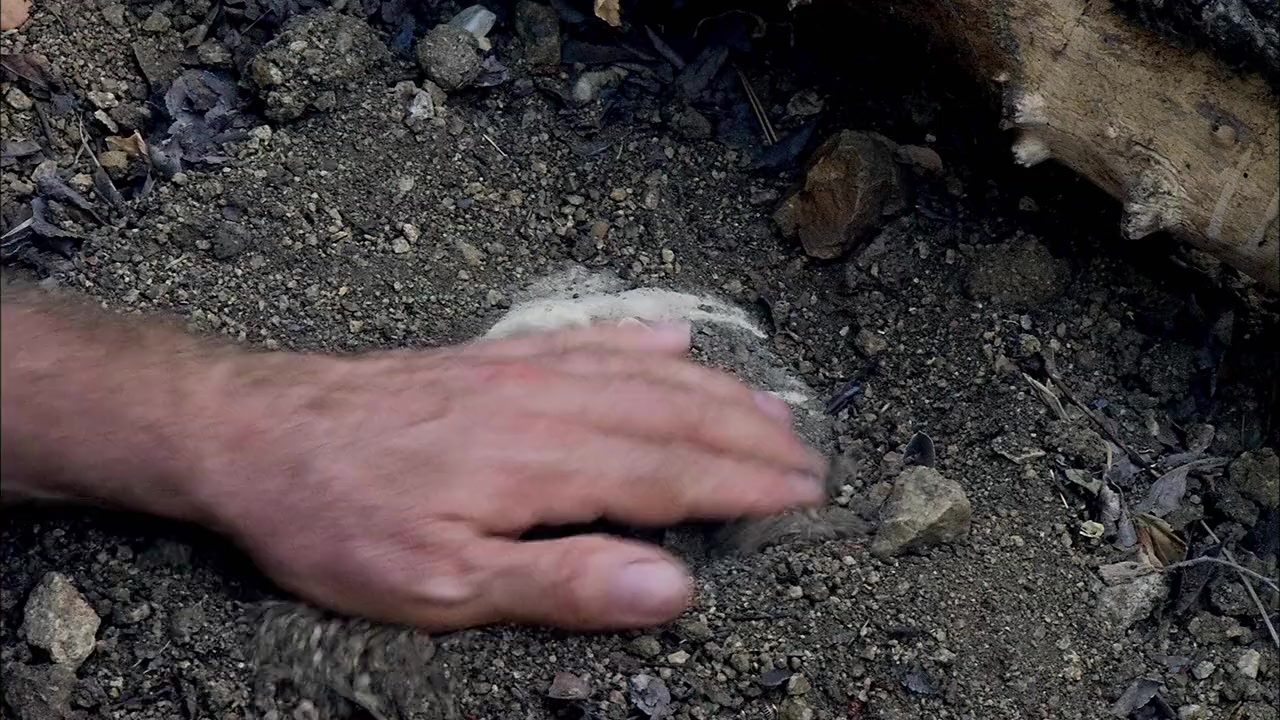 Return of the Killer Shrews screenshot 1