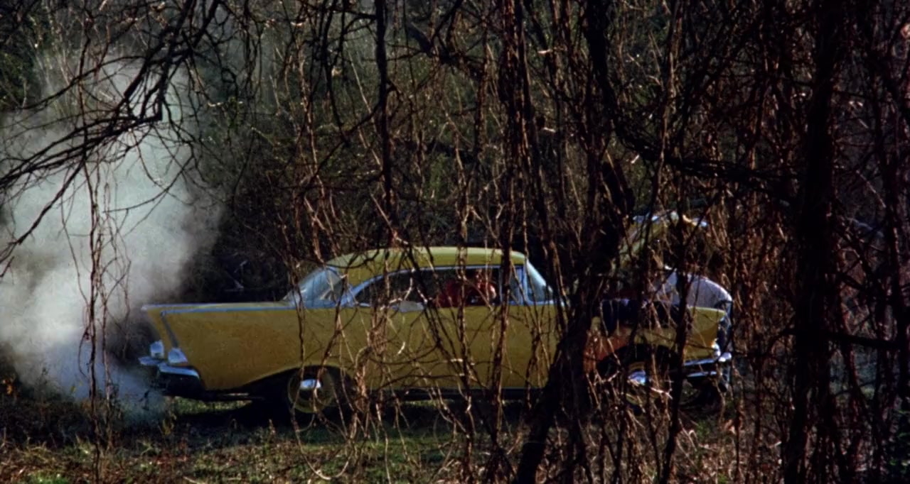 Return to Macon County screenshot 1