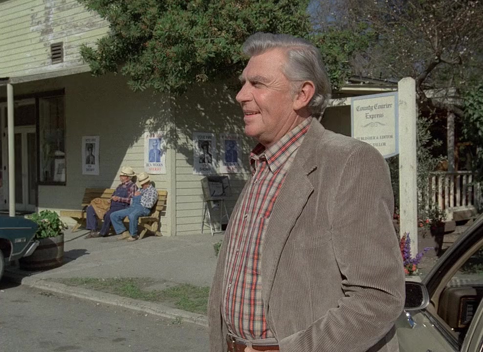 Return to Mayberry screenshot 1