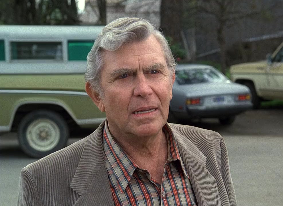 Return to Mayberry screenshot 2