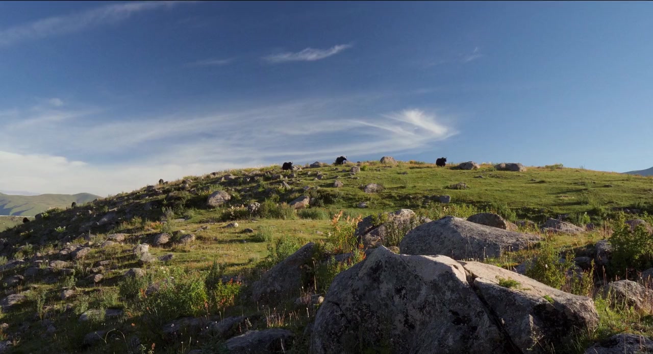 Return to Gandhi Road screenshot 2