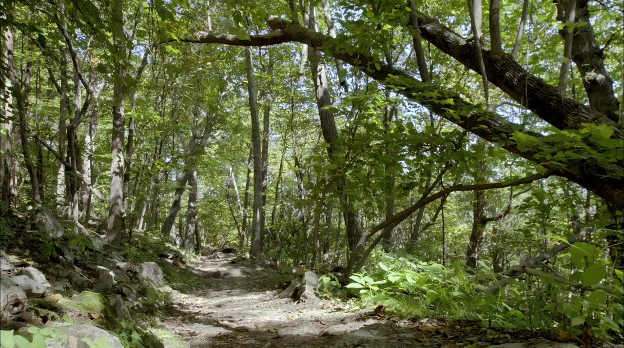 Return to the Wild: The Chris McCandless Story screenshot 1