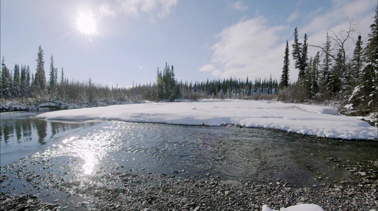 Return to the Wild: The Chris McCandless Story screenshot 2