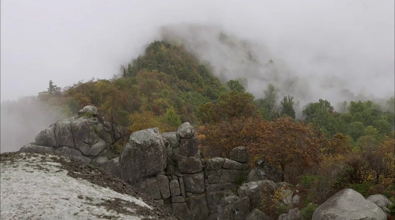 Return to the Wild: The Chris McCandless Story screenshot 3