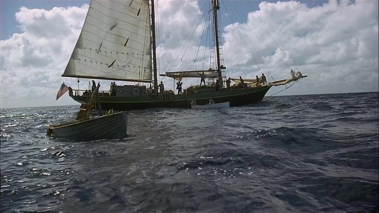 Return to the Blue Lagoon screenshot 1