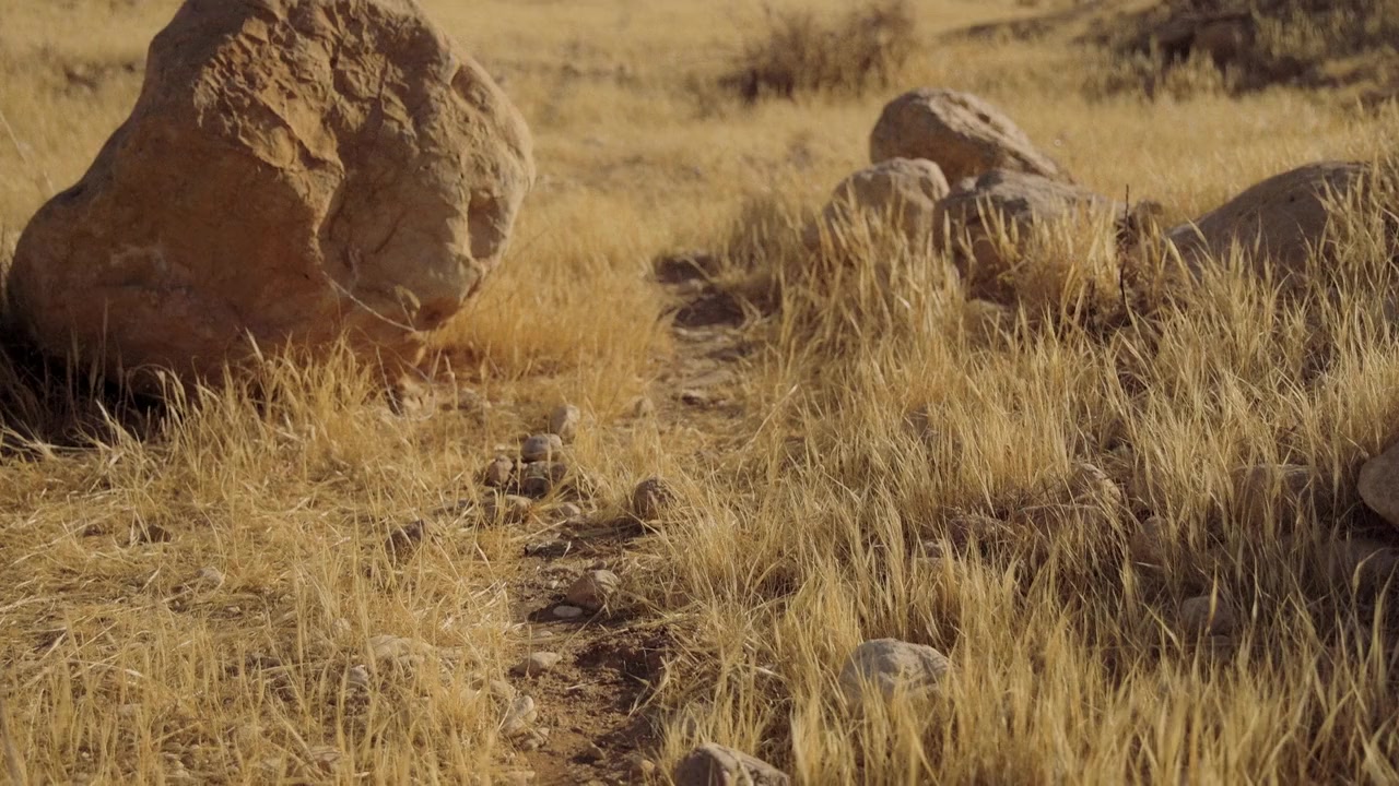 Return to the Holy Land screenshot 1