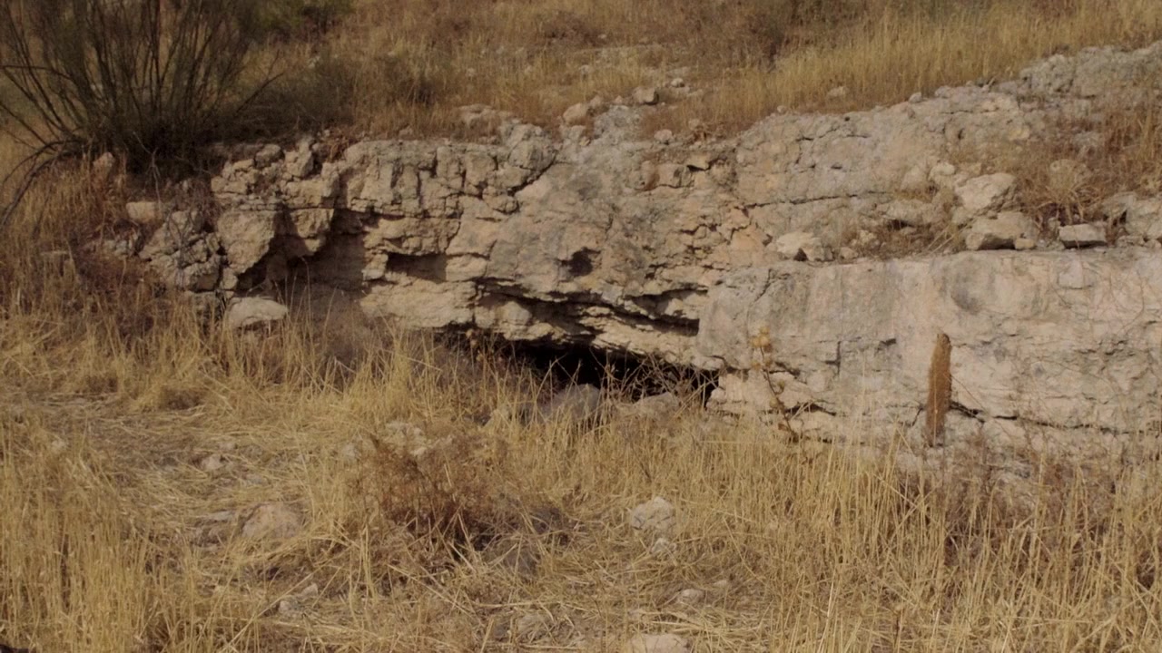 Return to the Holy Land screenshot 2