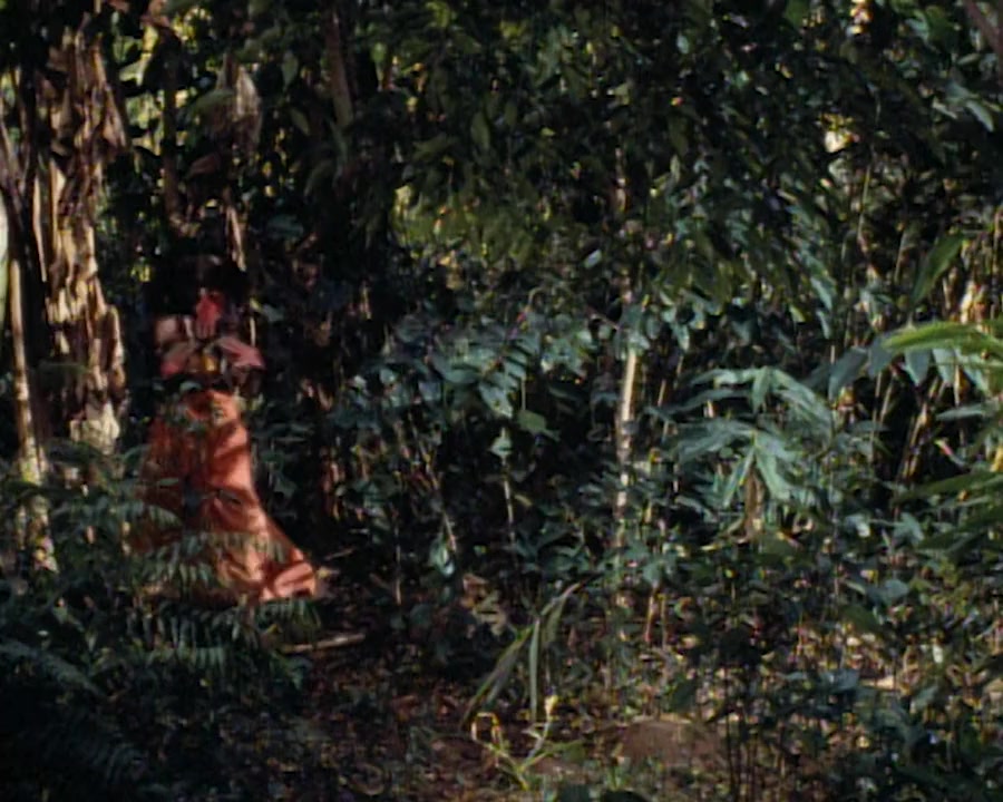 Return to the Lost World screenshot 1