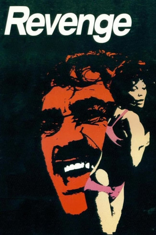 Revenge (1971) poster