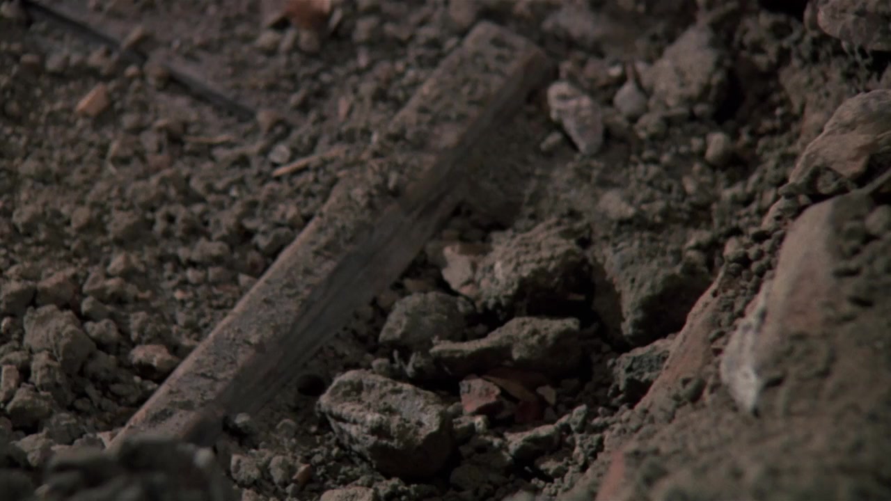 Zeder screenshot 1