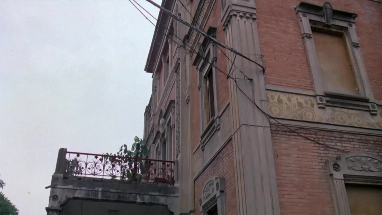 Zeder screenshot 2