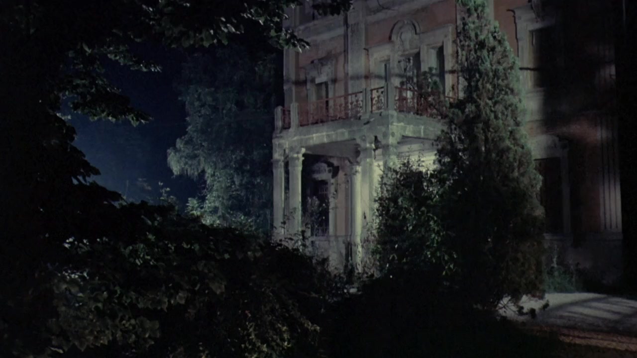 Zeder screenshot 3