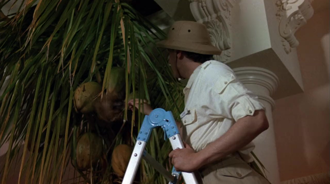 Revenge of the Nerds II: Nerds in Paradise screenshot 3