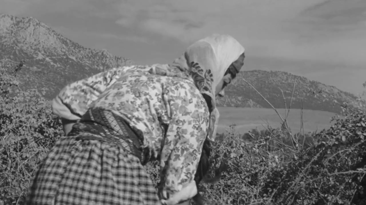 Yilanlarin Öcü screenshot 2