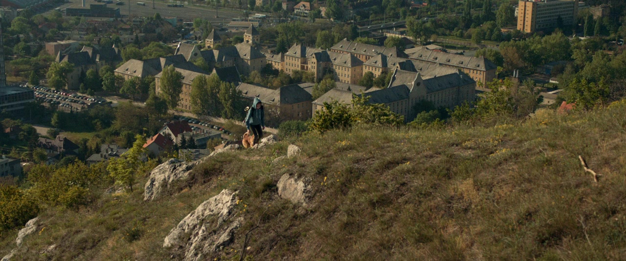 Fehér isten screenshot 1