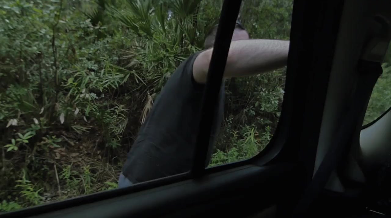 Real Cases of Shadow People: The Sarah McCormick Story screenshot 1