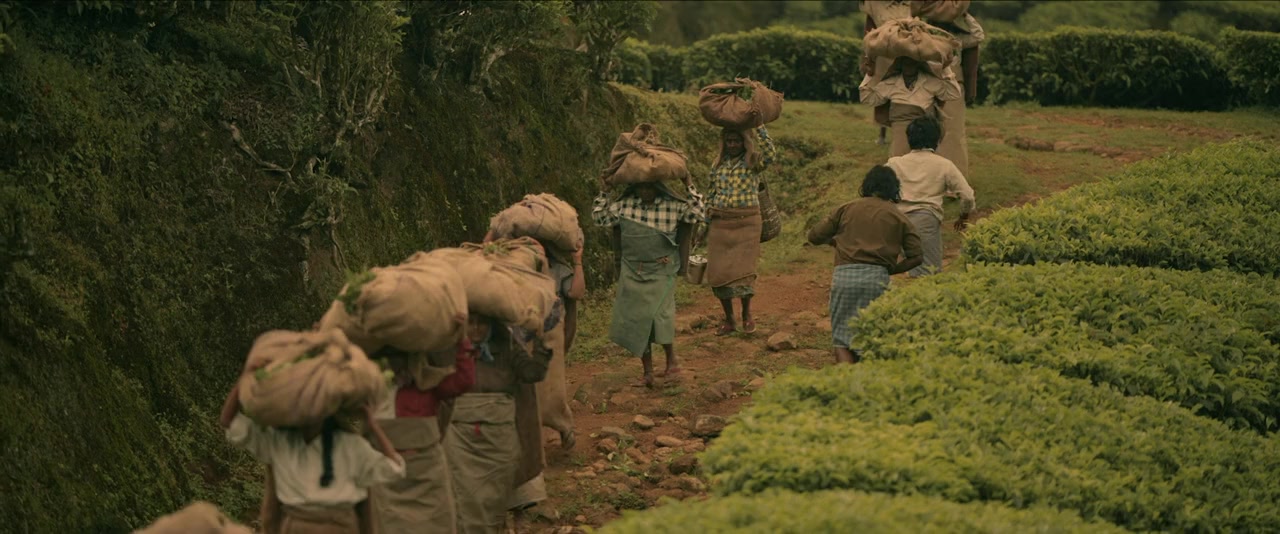 Rebel screenshot 3