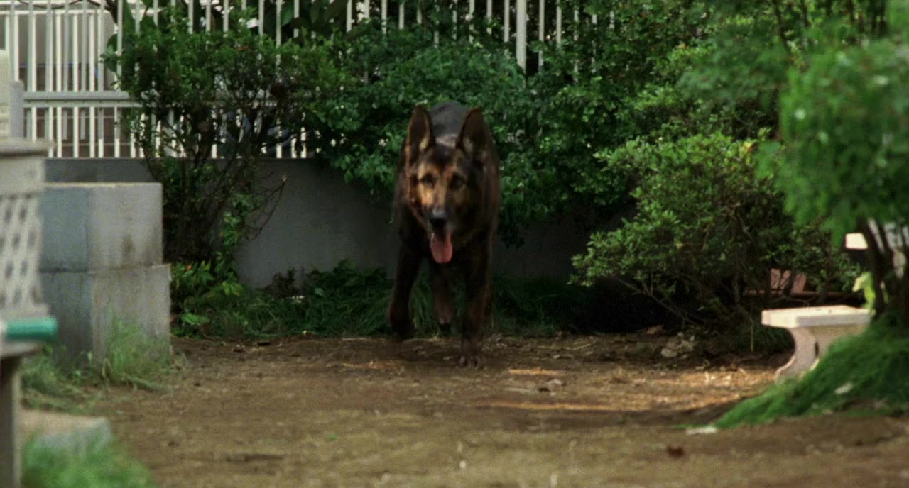 Mosura screenshot 2