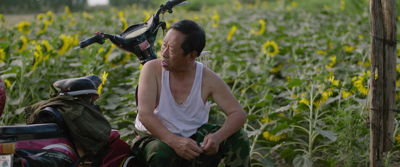 Ping Yuan Shang De Xia Luo Ke screenshot 1