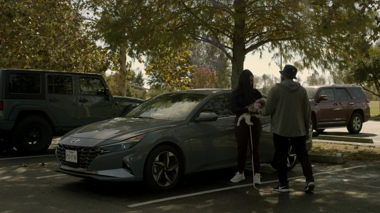 Red Flags screenshot 1
