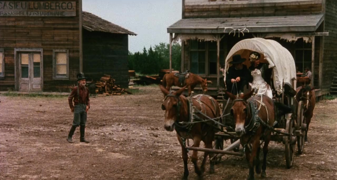 Red Headed Stranger screenshot 2