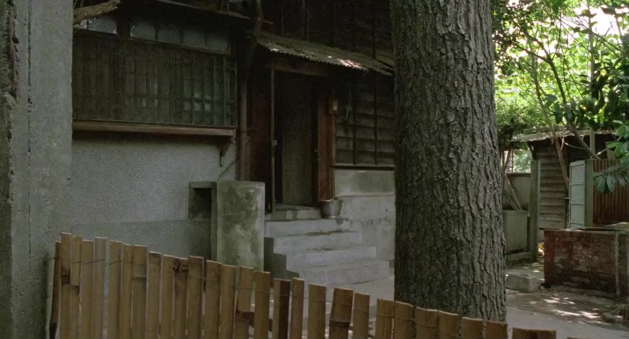 Hong shi zi screenshot 2