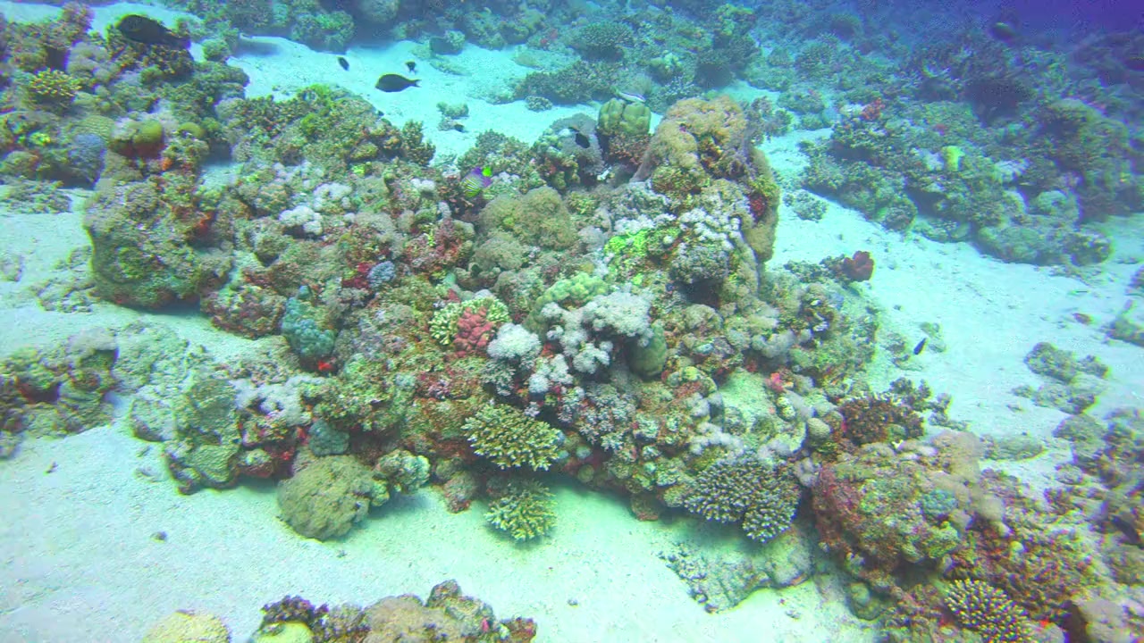 Red Sea 4K screenshot 2