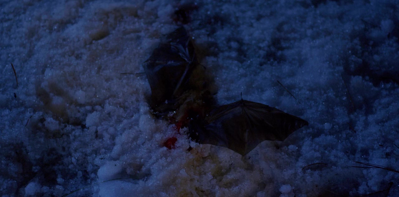 Red Snow screenshot 2
