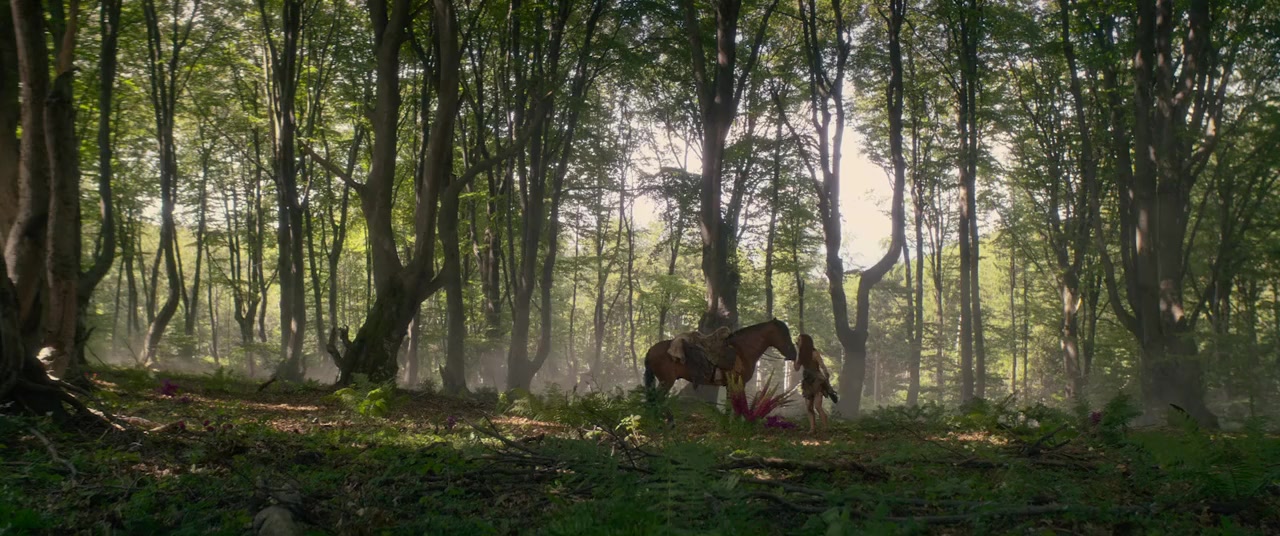 Red Sonja screenshot 1