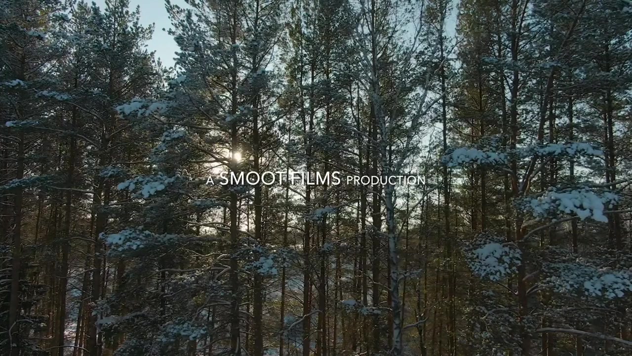 Red Winter screenshot 1