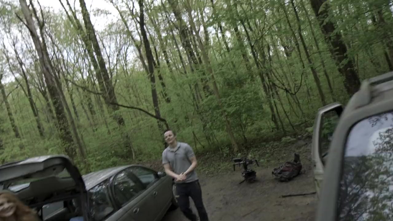 Red Woods screenshot 2