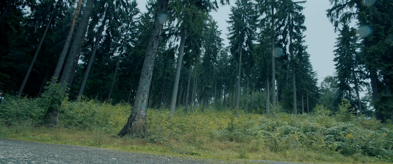 Redwood screenshot 1