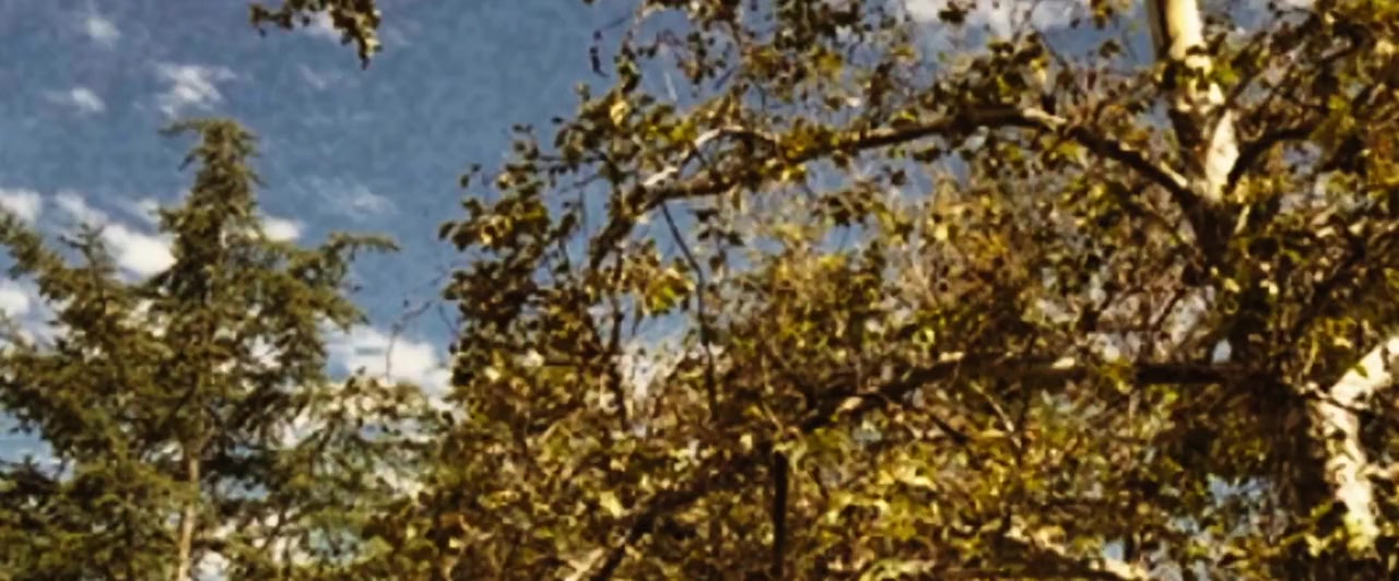 Reed's Point screenshot 1