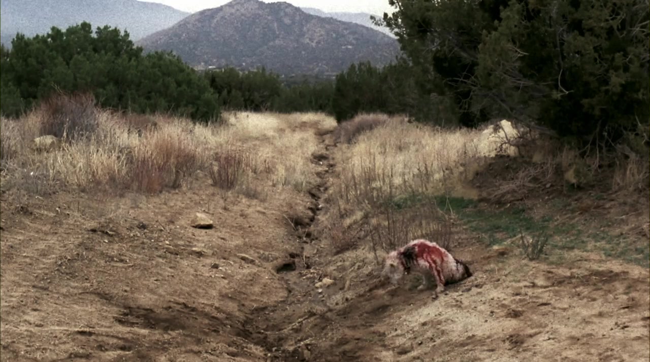 Reeker screenshot 2
