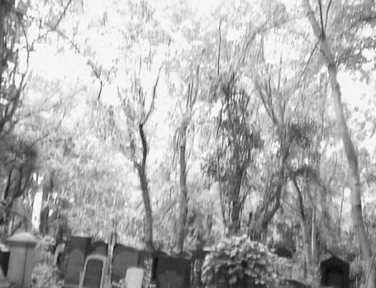 Regina screenshot 2