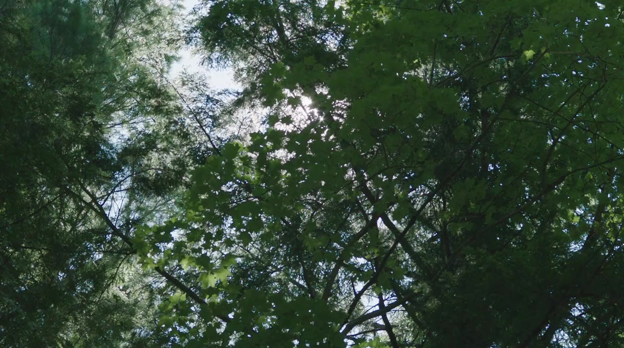 Relaxing Old Footage with Joe Pera screenshot 2