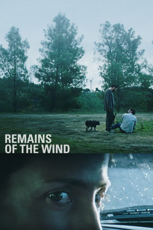 Restos do Vento (2022) poster