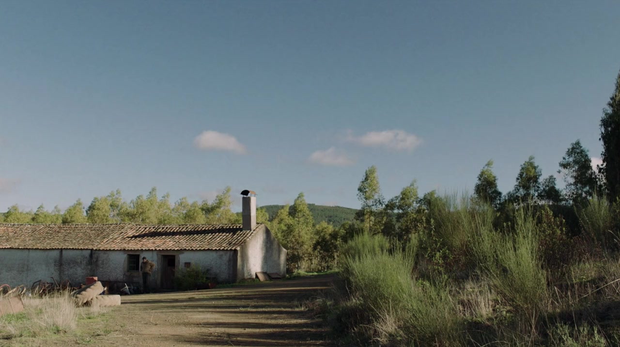 Restos do Vento screenshot 1