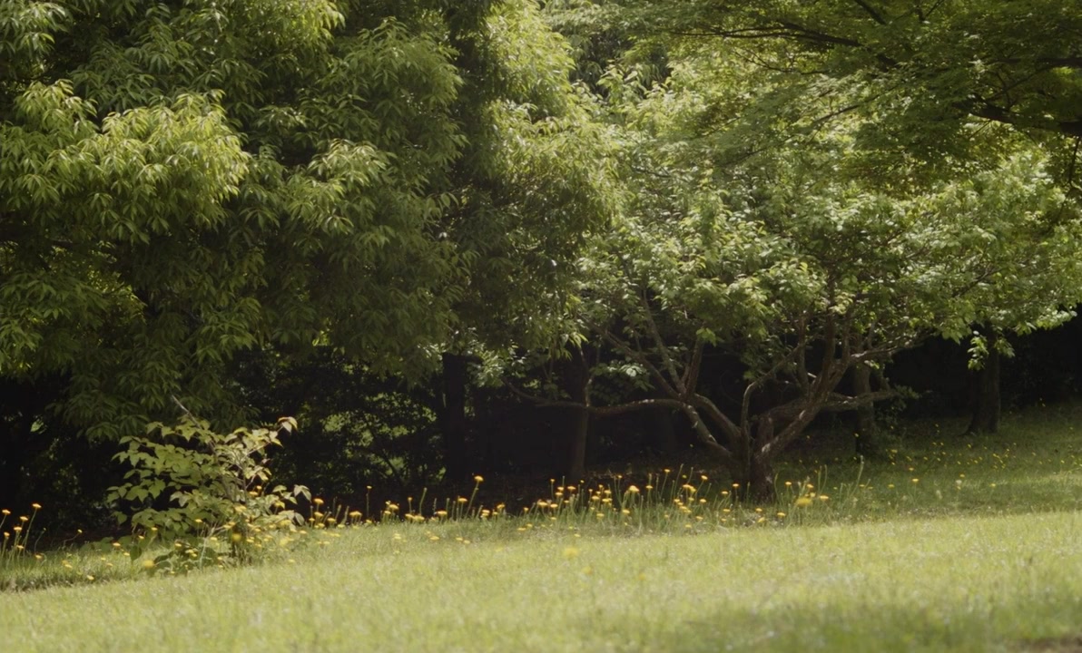 Subete no yoru o omoidasu screenshot 2