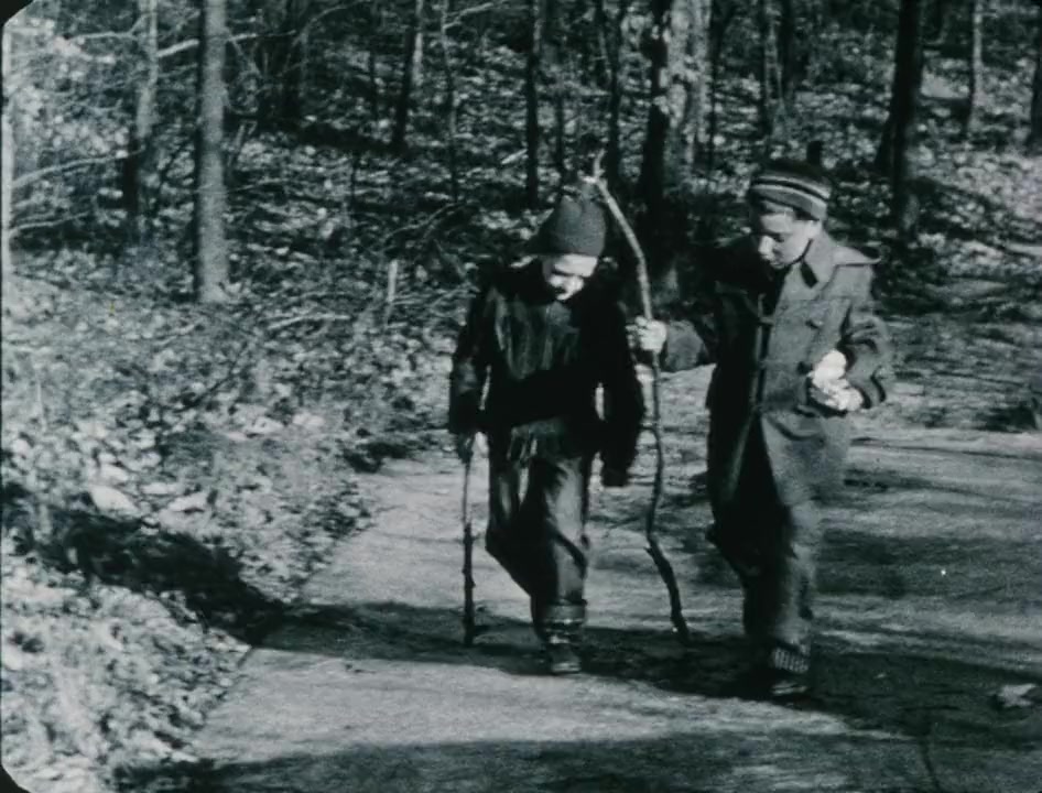 Reminiscences of a Journey to Lithuania screenshot 2