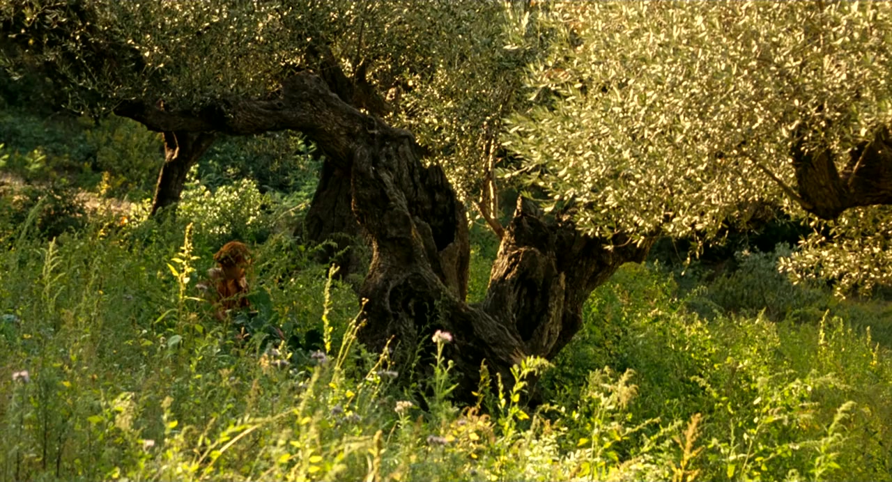 Renoir screenshot 1